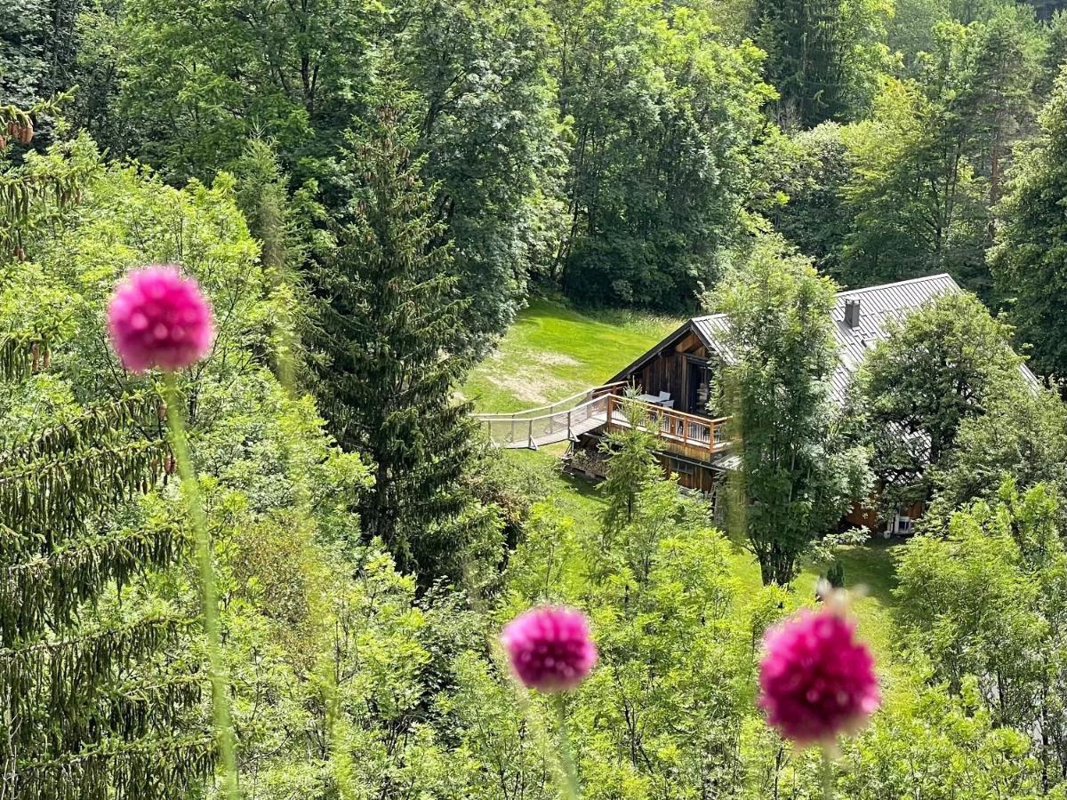 D'hotes Les D'elsa Bed & Breakfast Albiez-Montrond
