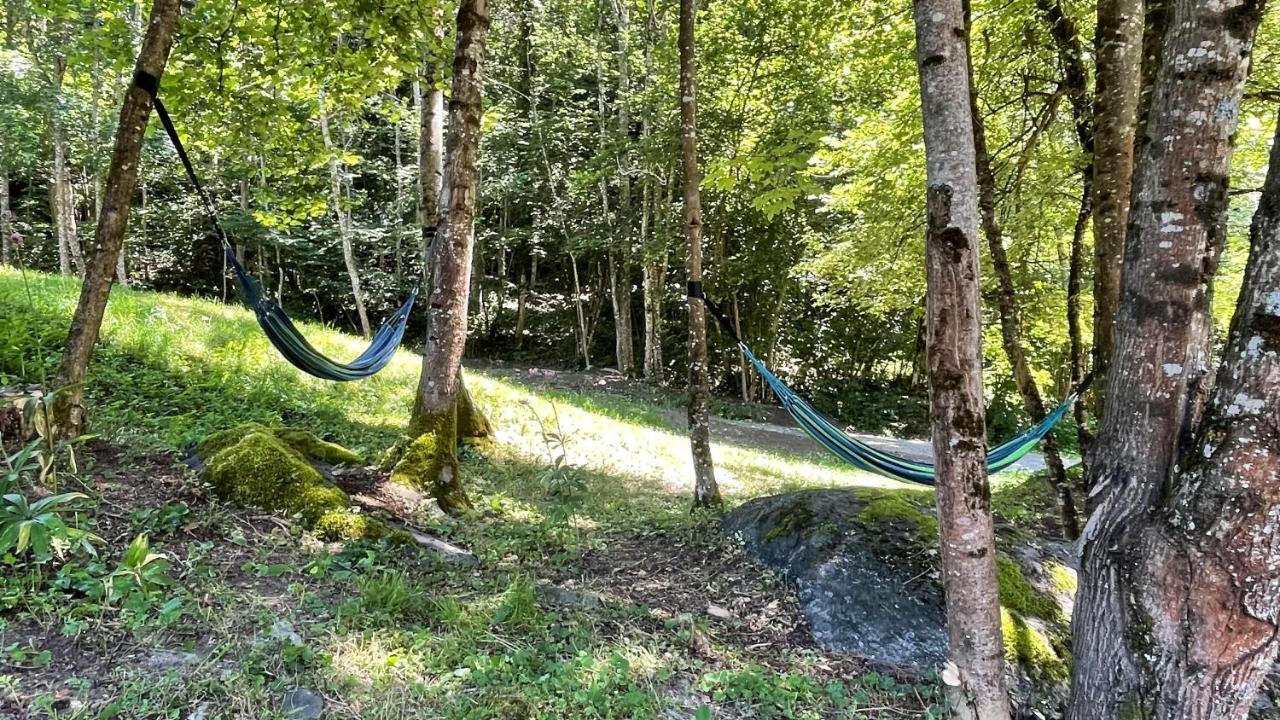 Bed & Breakfast D'hotes Les D'elsa *